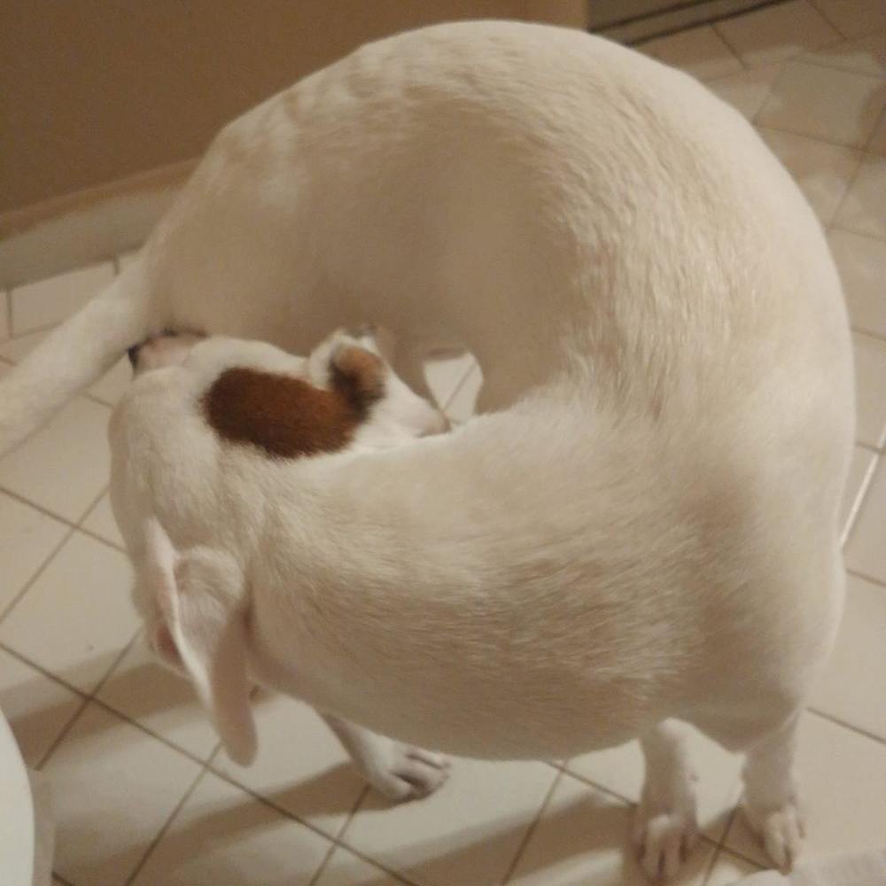 Meet your Posher, Laura